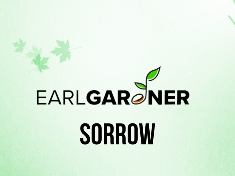 Weekly Wisdom with Pastor Earl | Sorrow