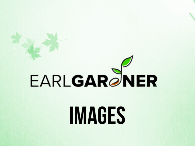 Weekly Wisdom with Pastor Earl |Images